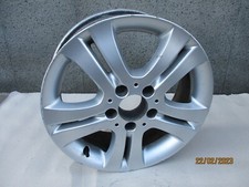 A1694010202 CERCHIO IN LEGA