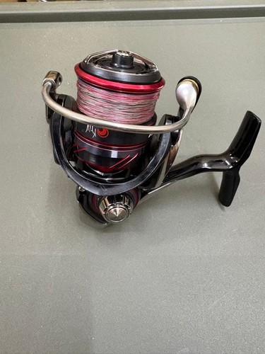 Mulinello spinning daiwa - mulinello,