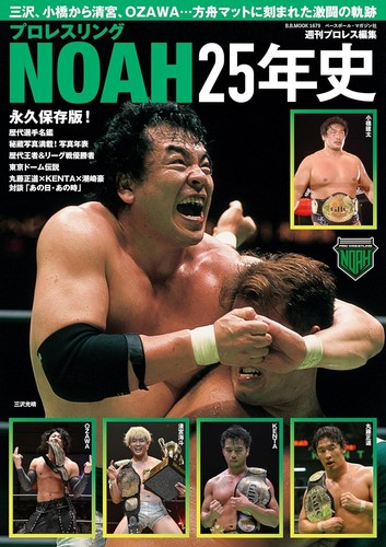 Pro wrestling noah 25th - pro,
