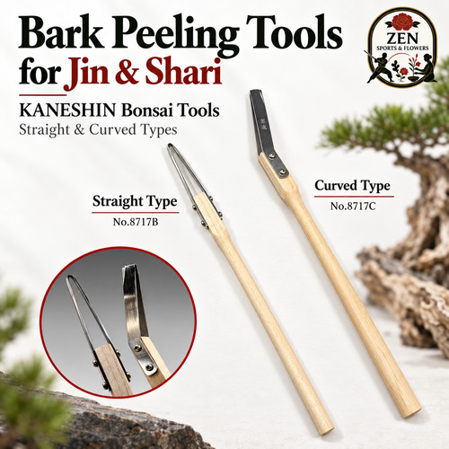 Kaneshin jin shari strumento - shari,