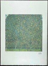 GUSTAV KLIMT * 50 X 70 CM *