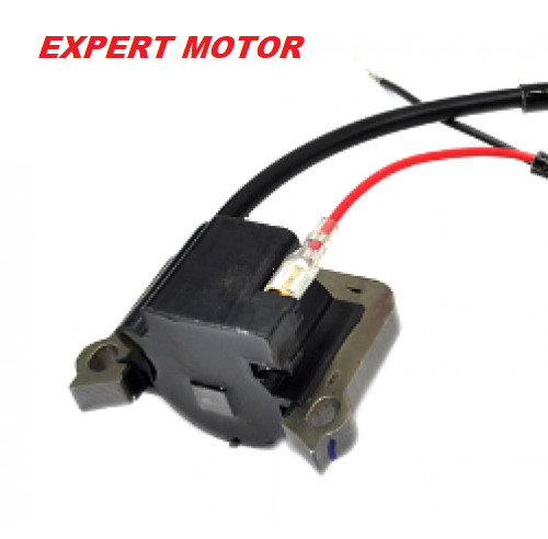 Bobina accensione motori - x,