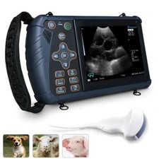 Veterinario Ecografo Portatile