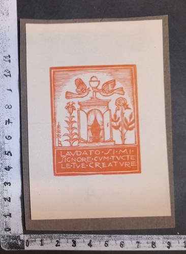 Wunderkammer exlibris 387 - wunderkammer,