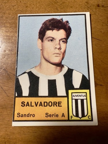 Mira 1965 pallone - mira, 1965-66