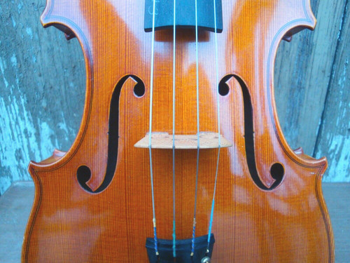 Viola cm con - viola,