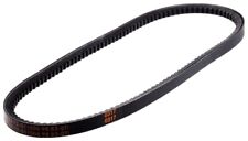 Cinghia di trasmissione