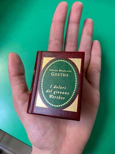 Dolori del giovane - del, werther