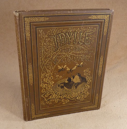Idylle aus der vogelwelt - idylle,