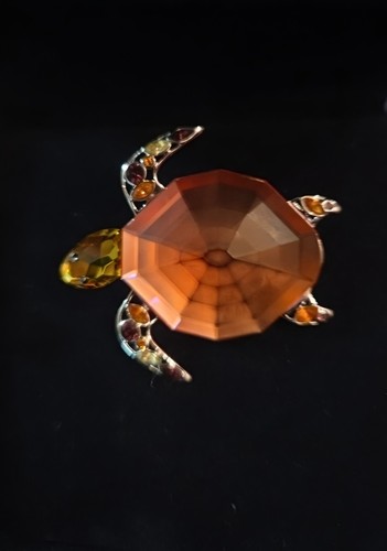 Vendo bellissima spilla - vendo,