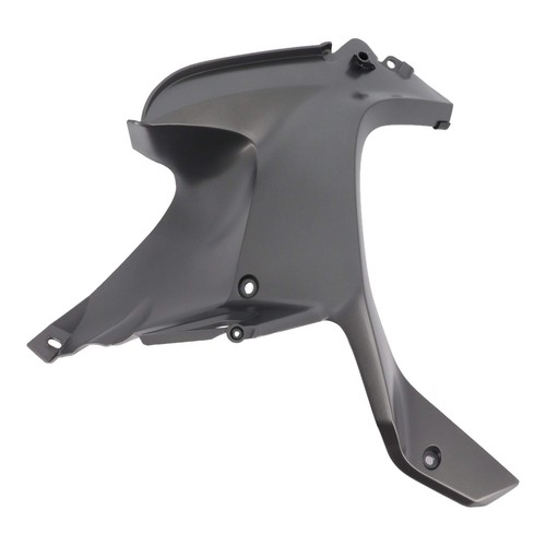 Fianco sinistro bmw r1200 - fianco, (bmw