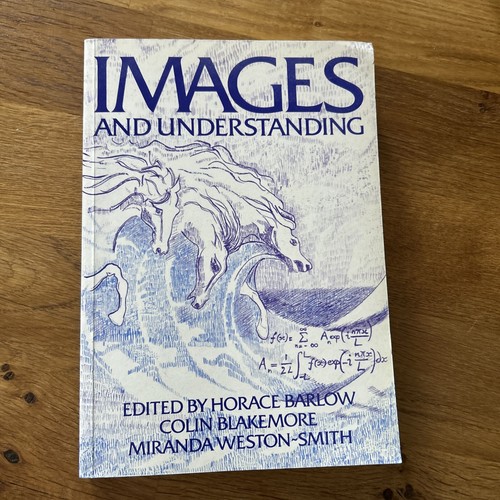 Images and understanding - understanding,