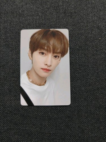 Easy pob photocard stray - photocard,
