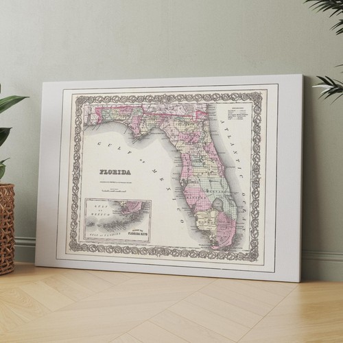 Vecchia mappa della - , florida