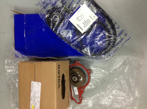 Kit cinghia distribuzione - cinghia,