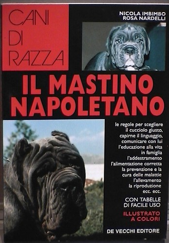 Mastino napoletano nicola - mastino,
