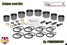 Kit revisione pinza freno