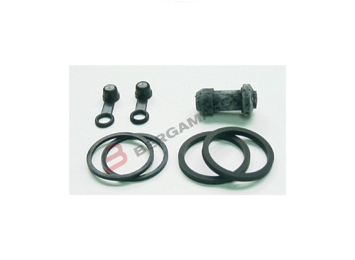 Kit revisione pinza - revisione,