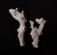 Naturale Giapponese Bianco