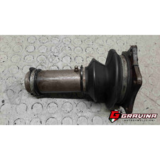 SEMIASSE SEMIALBERO ANT DX