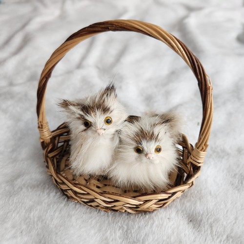 Gatti gattini cesto vimini - gatti,