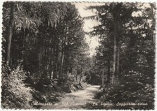 Caldonazzo trento la - -,