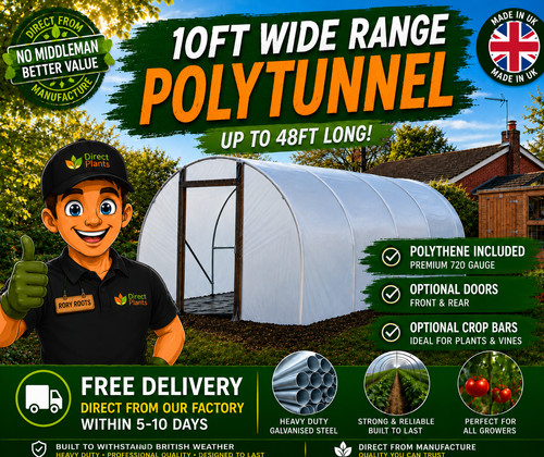 Serra polytunnel larga - serra,