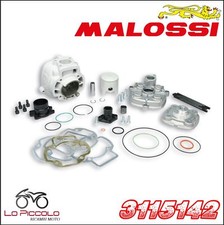 3115142 MALOSSI GRUPPO TERMICO