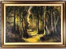 Sentiero bosco luminoso