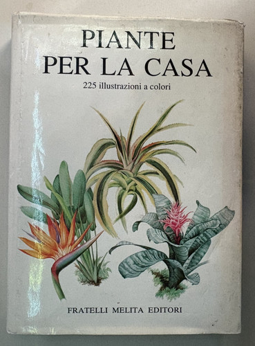 Piante per casa 225 - per, casa,