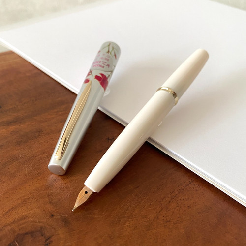 Penna stilografica vintage
