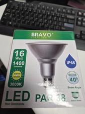 BRAVO LED PAR38 Lampadine