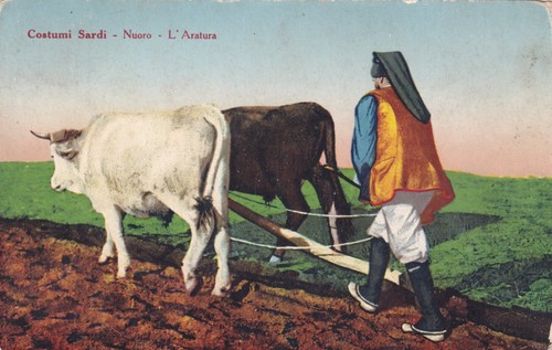 Cartolina nuoro costumi - di,