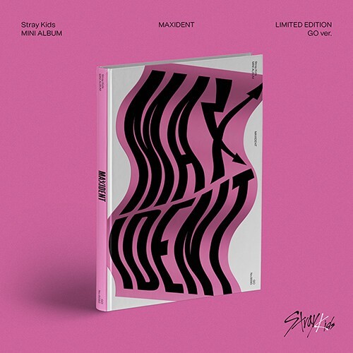 Stray kids mini - stray,