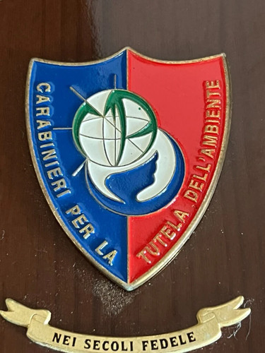 Crest carabinieri tutela - crest,
