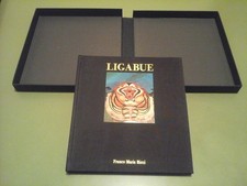 LIBRO - LIGABUE - CON
