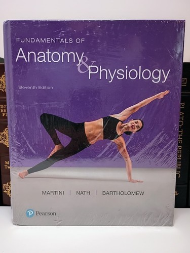 Fundamentals anatomy - of, &