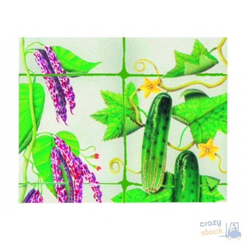Rete papillon verde per - papillon,