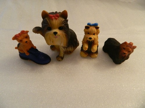 Yorkshire terrier yorkie - terrier, dog