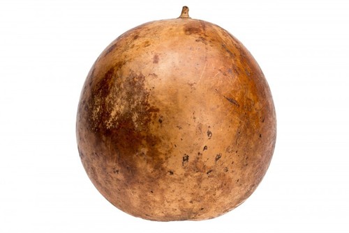 Nadeco palloncino frutta circa - frutta,
