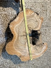 Fetta Di Ulivo Con Bellissime