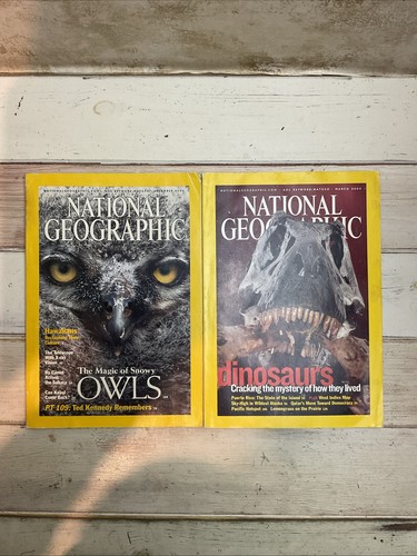 Vintage national geographic - vintage,