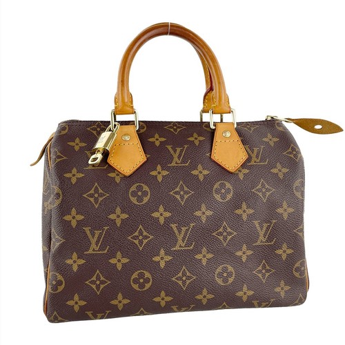 Borsa mano louis vuitton - a,
