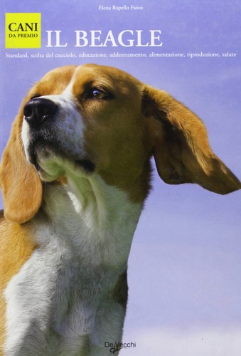 Beagle