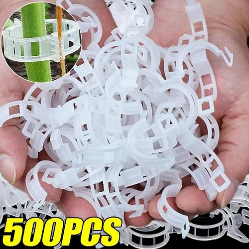 100x clip pomodoro ortaggio - 100x,