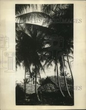 1925 Press Photo San Blas