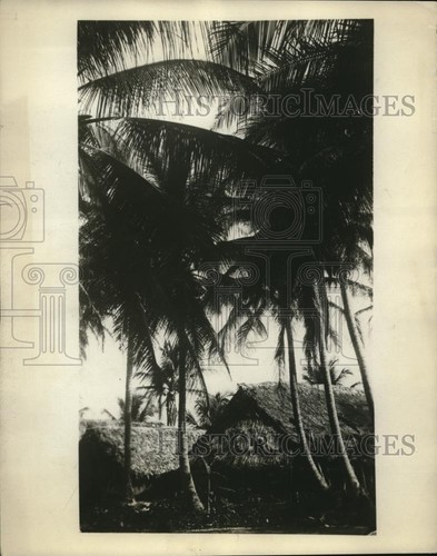 1925 foto stampa san - 1925,