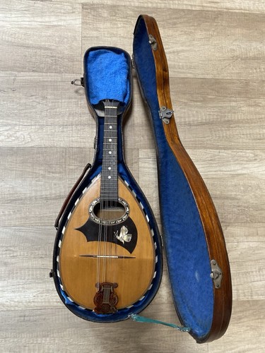 Mandolino napoletano - mandolino,
