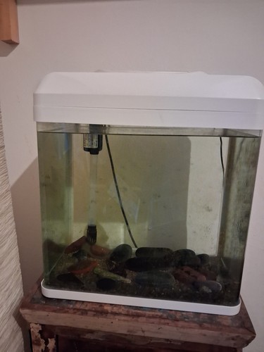 Acquario litri pari al - 30,