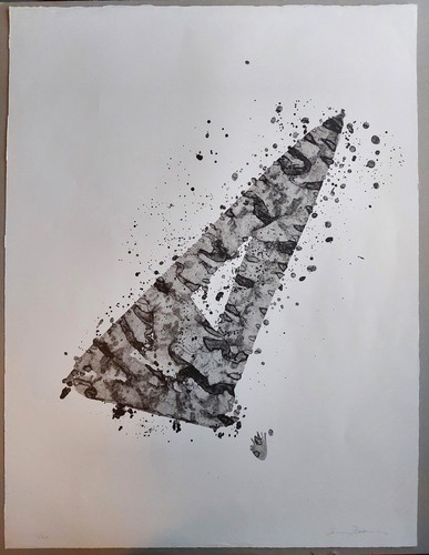 Litografia firmata sam - litografia, francis